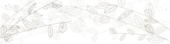 Ornamentos
